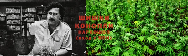 прущие крисы Верея