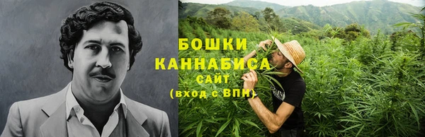 прущие крисы Верея