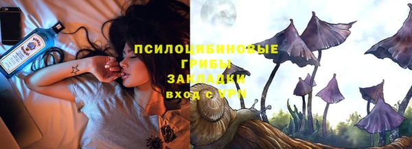 дурь Верхний Тагил