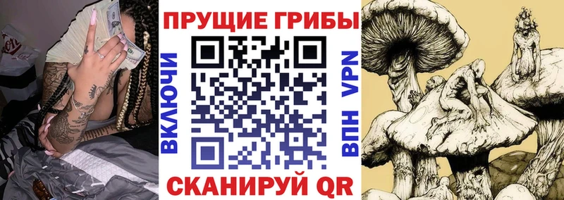 Купить  Усолье-Сибирское  Псилоцибиновые грибы мицелий 